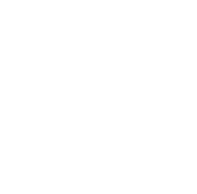 Blitzscale